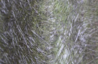 Beauclerc fibreglass roof work